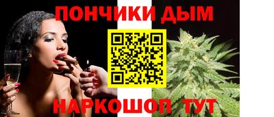 тгк Кингисепп